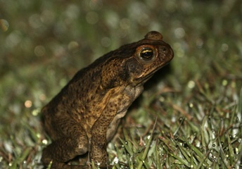IMG_7482a.jpg